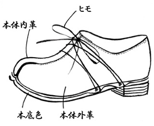 単皮(たび)