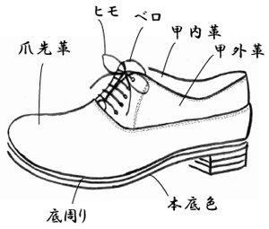 プレーン内羽根短靴